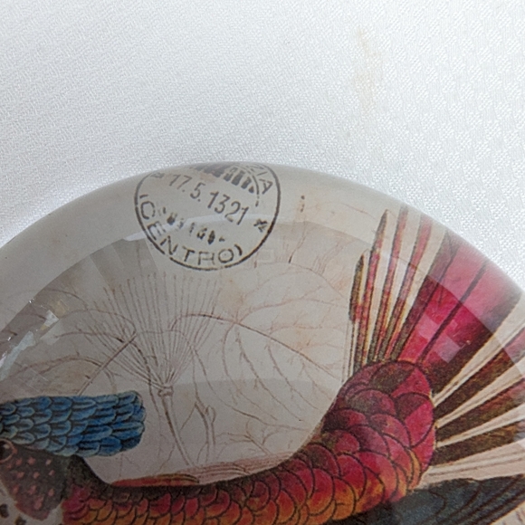 Pair of glass dome shaped paper weights. Pheasant like Bird graphics. - Picture 5 of 8